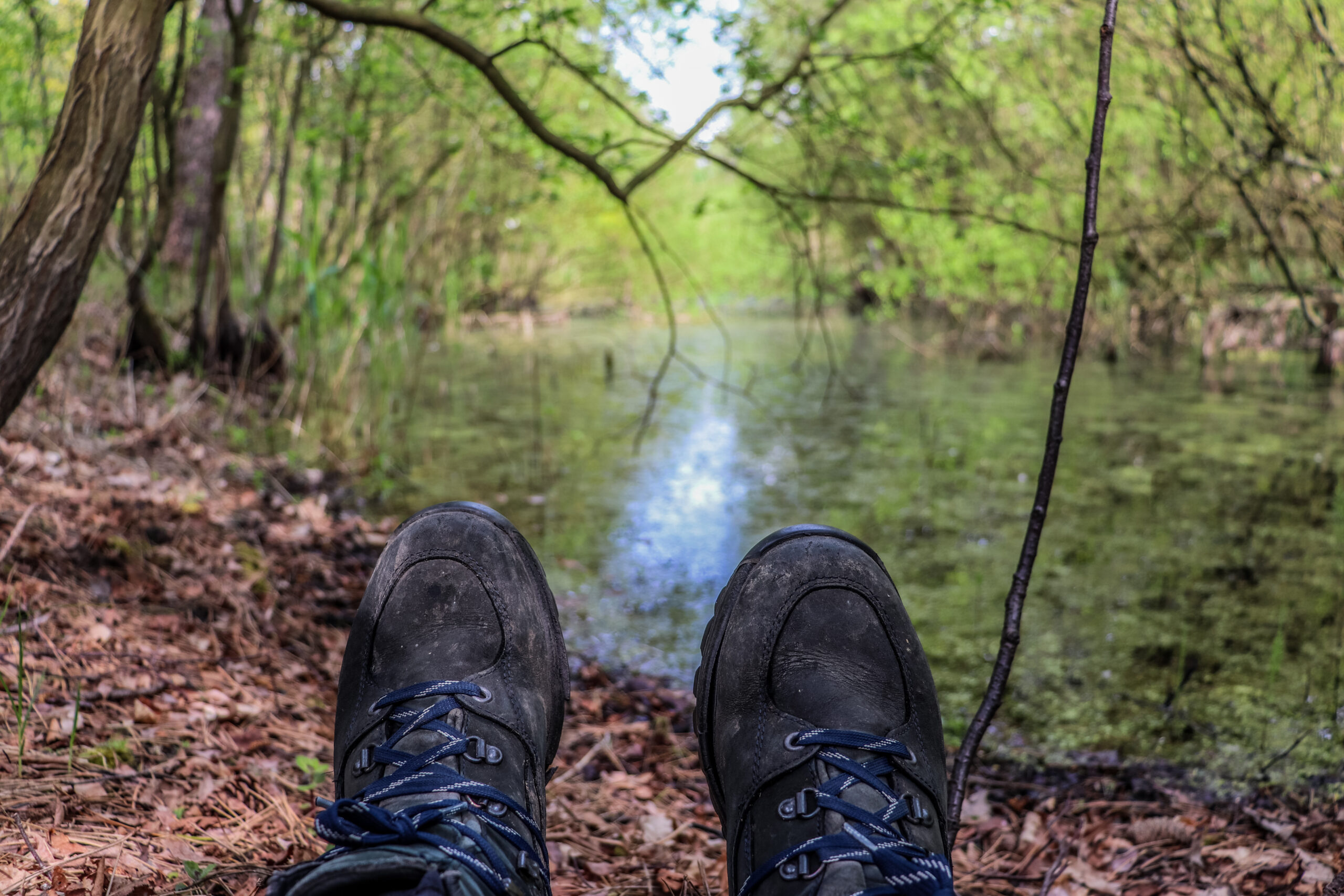 Wandelschoenen algemeen