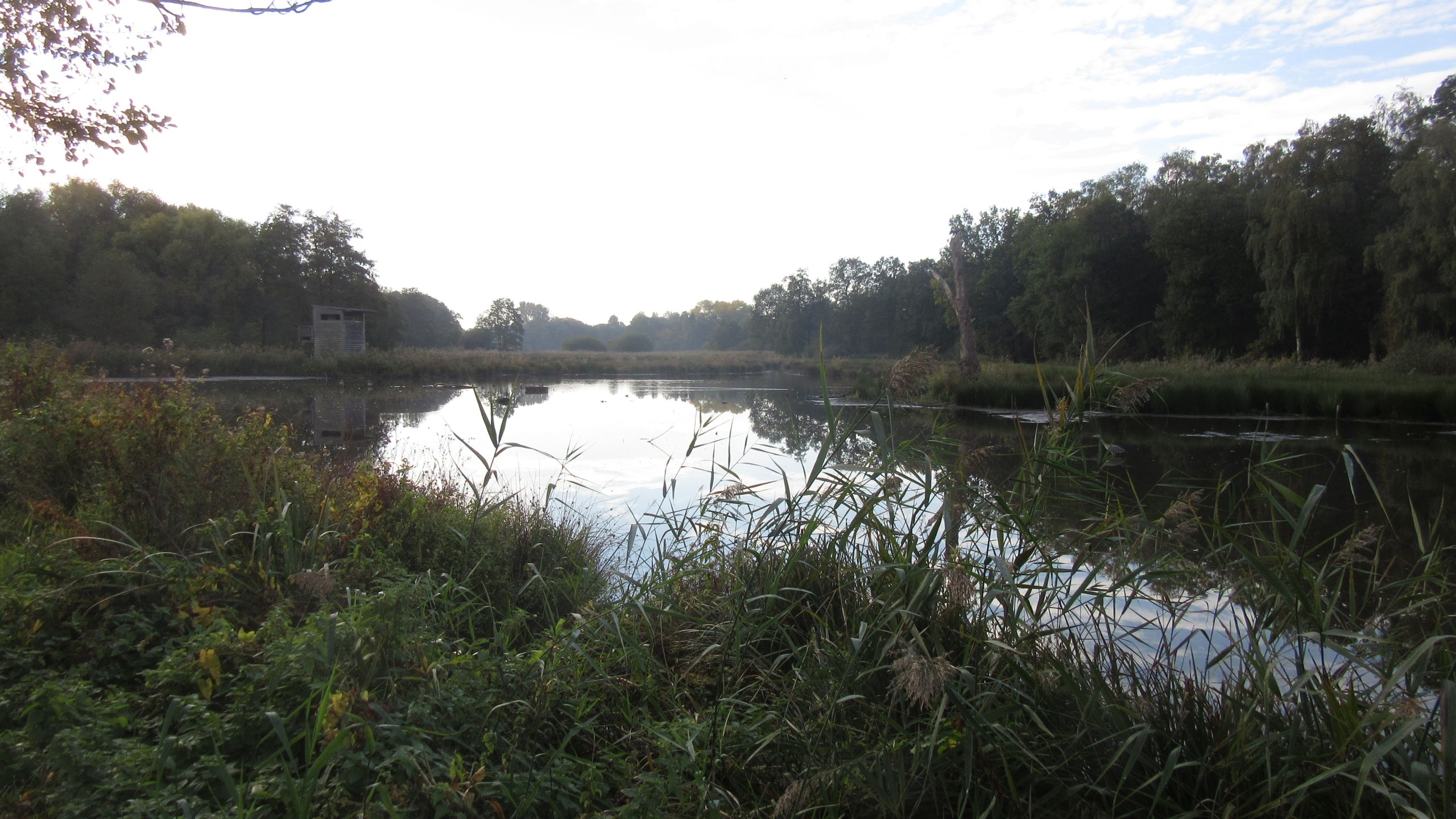 008b IMG_6097a