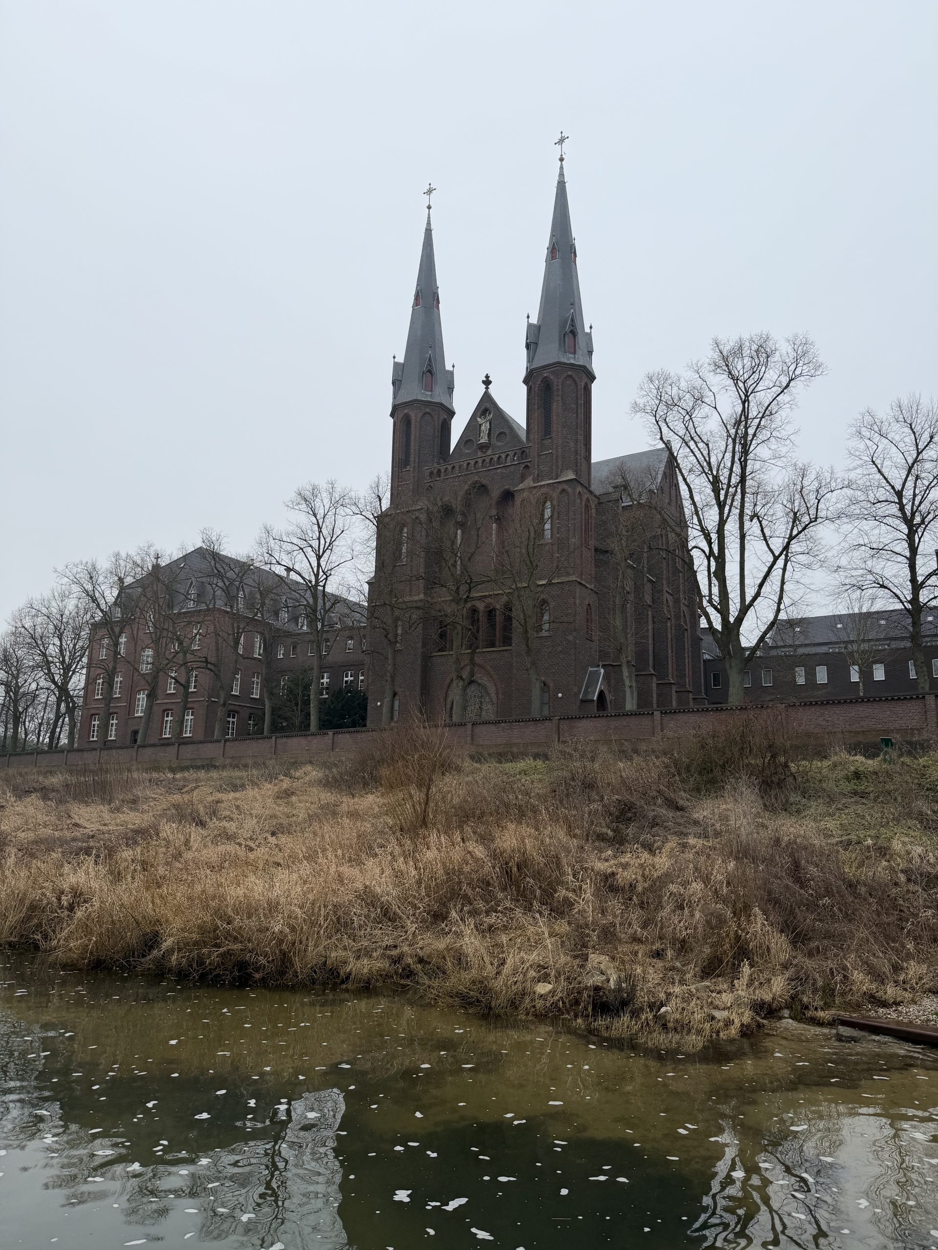 IMG_6408 (1)