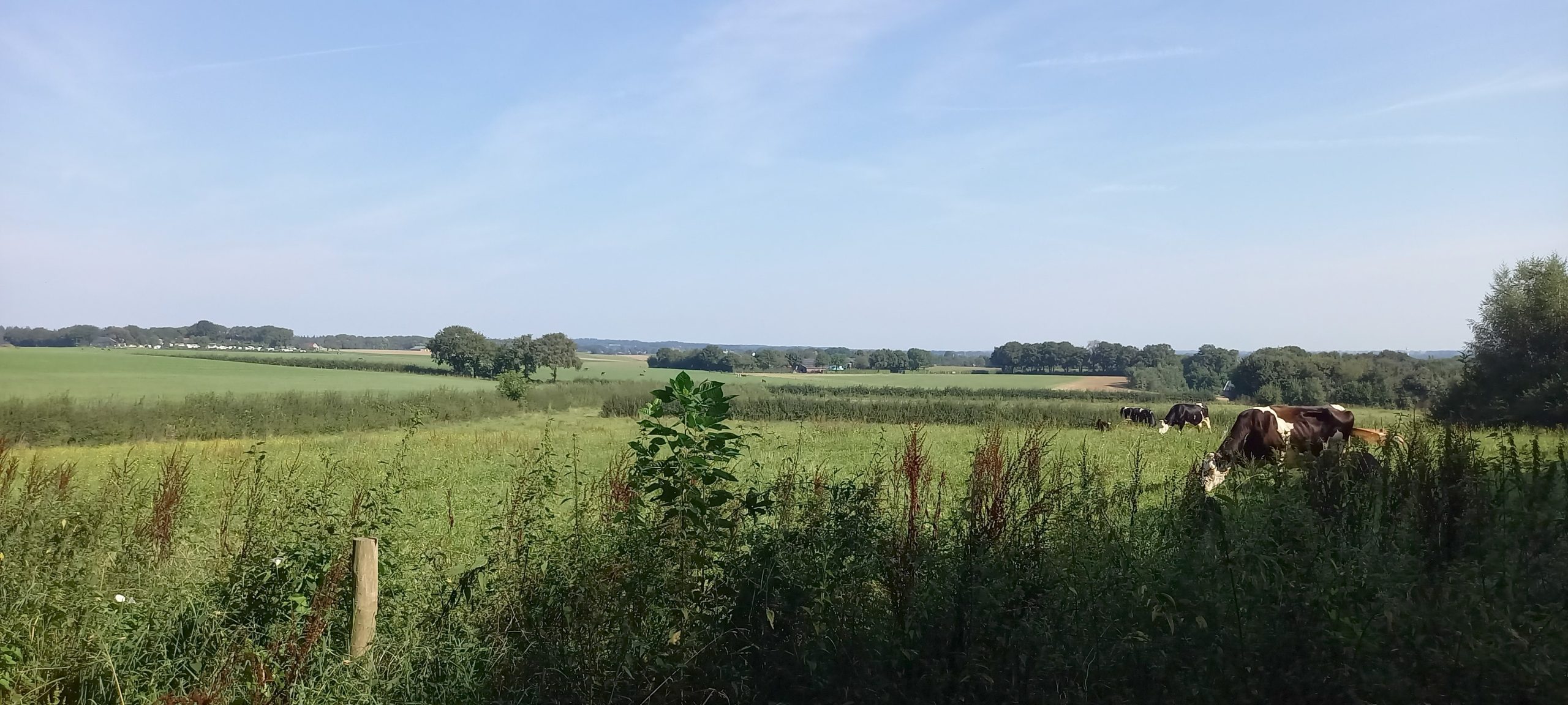 Omgeving Sint Jansberg (route 6. Plasmolen - Milsbeek)