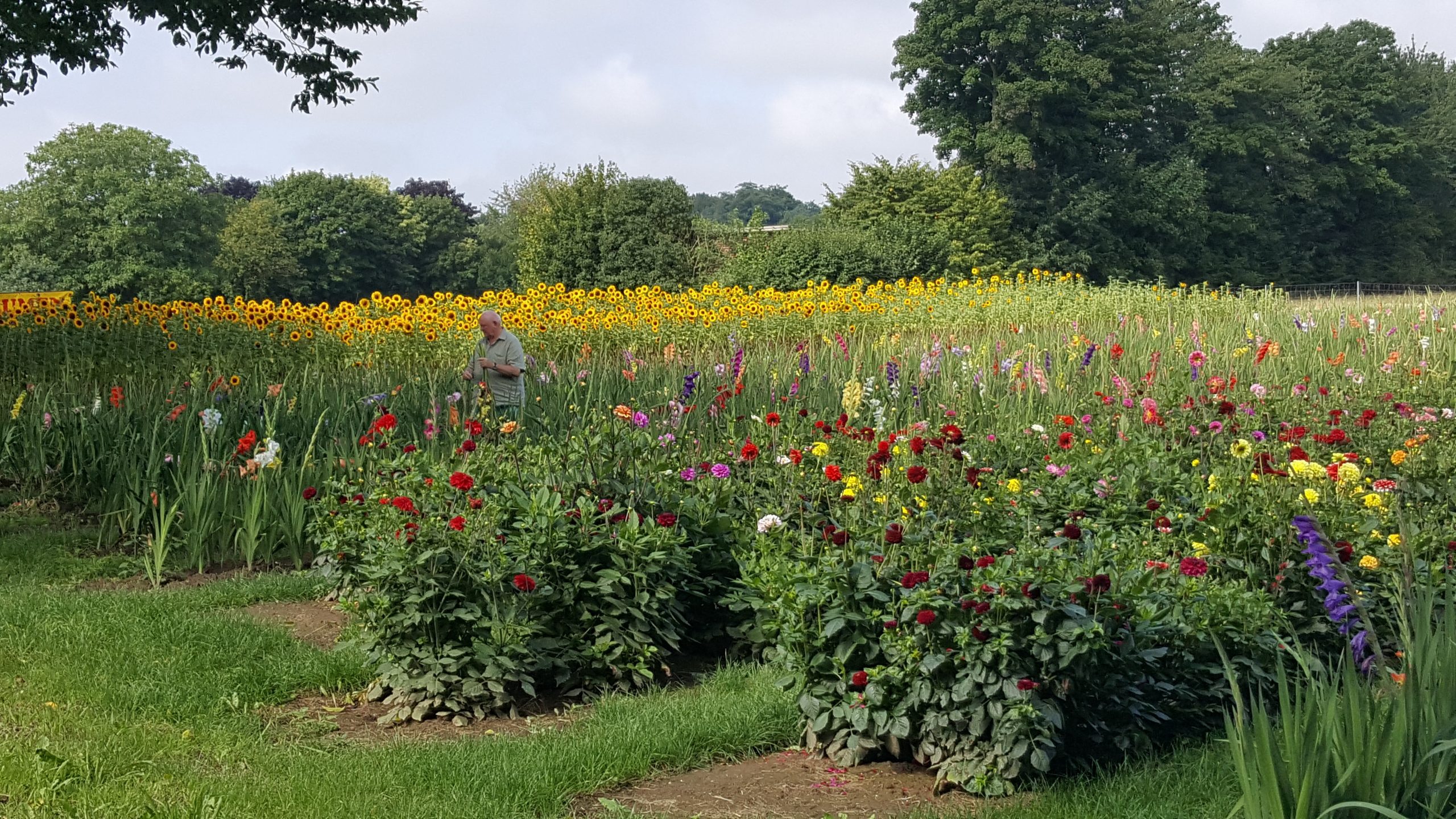etappe-13-2-bloemenzee