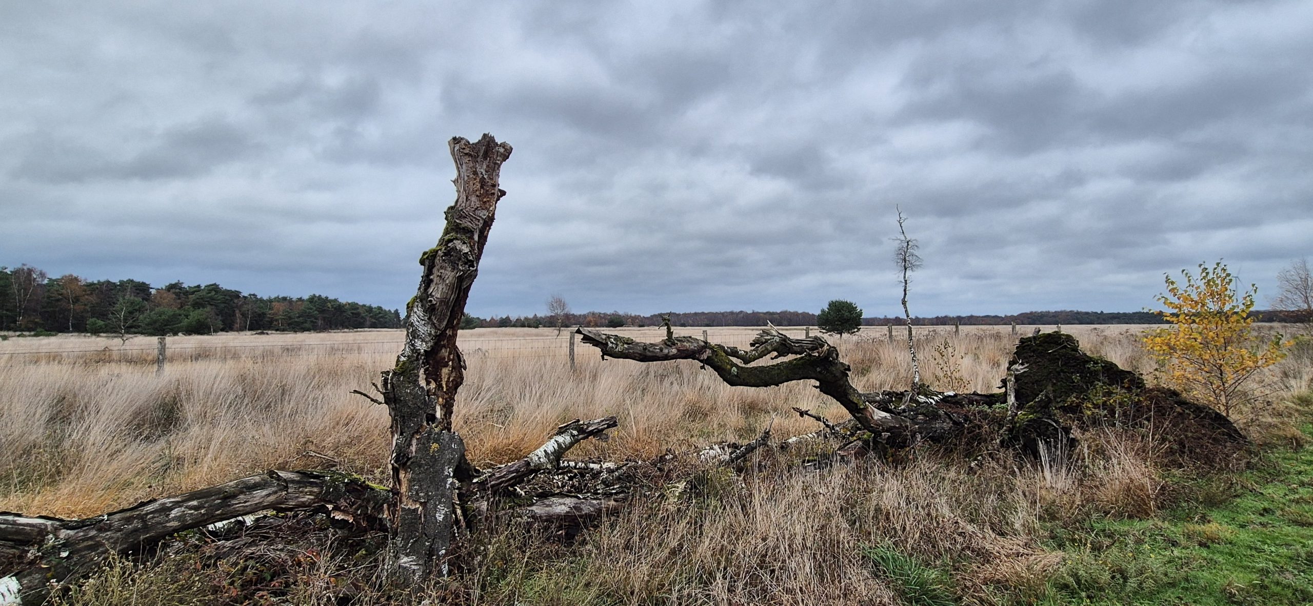 etappe-2-1-looierheide